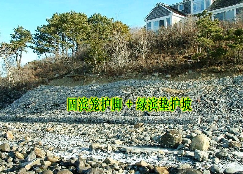 固濱籠護腳、綠濱墊護坡
